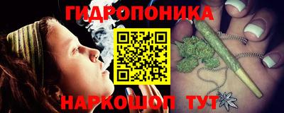 крисы Будённовск