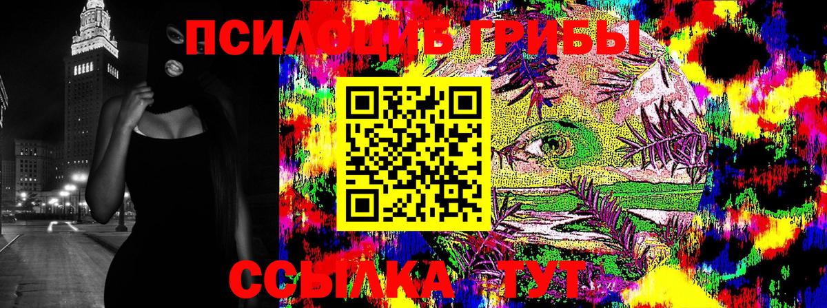 Галлюциногенные грибы Psilocybe  Псилоцибиновые грибы Psilocybe  Магадан  Вход с VPN 